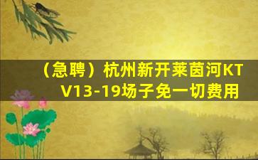 商丘酒吧招聘